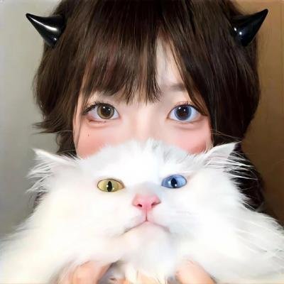 第19分部